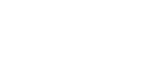 logo2-300x153-copy-invert
